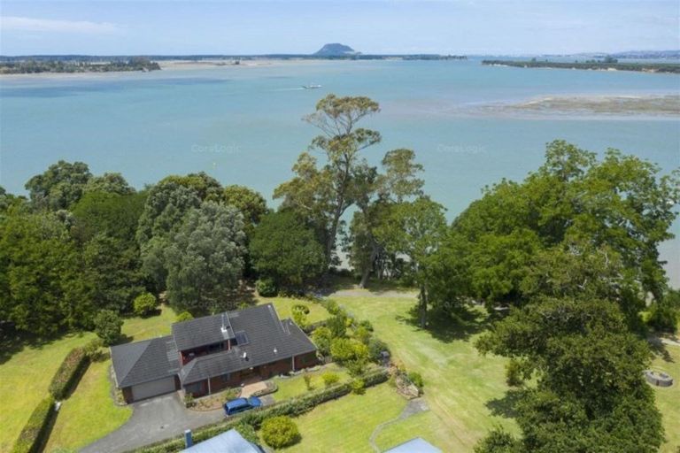 Photo of property in 22 Myrtle Drive, Omokoroa, 3114