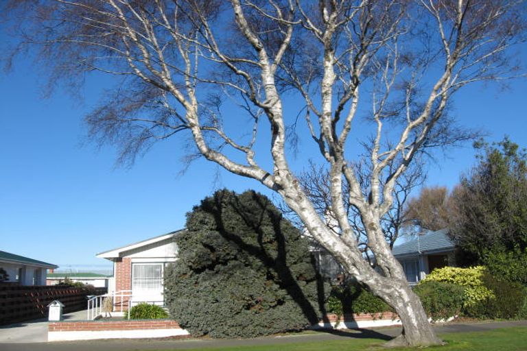 Photo of property in 115 Bourke Street, Windsor, Invercargill, 9810