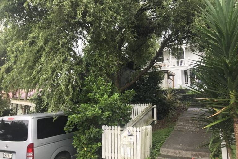 Photo of property in 10 Niger Street, Grey Lynn, Auckland, 1021