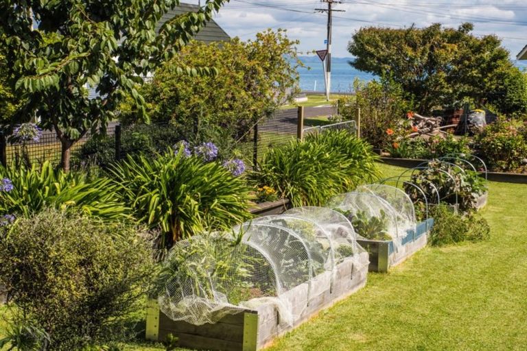 Photo of property in 103 Ash Street, Thames, 3500