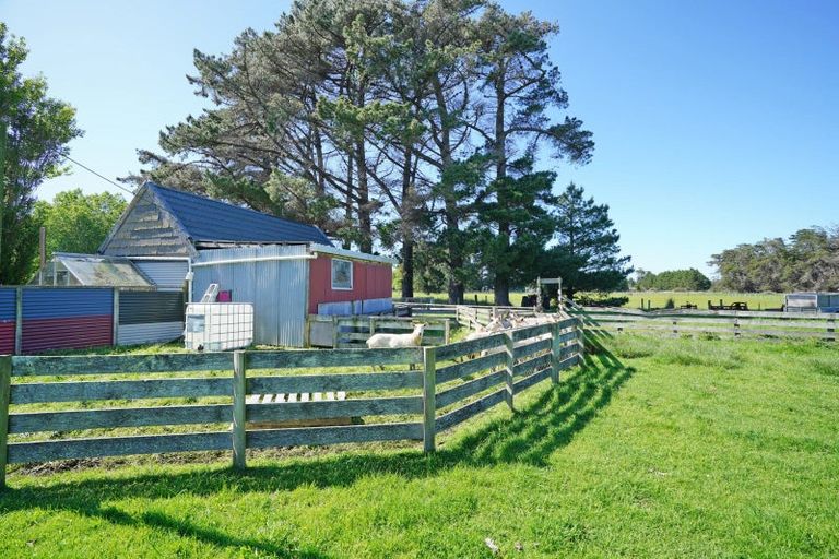 Photo of property in 243 Curran Road, Otatara, Invercargill, 9879