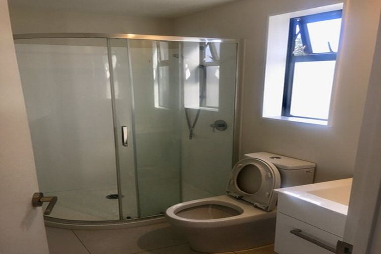 Photo of property in 29 Lemon Tree Lane, Flat Bush, Auckland, 2019