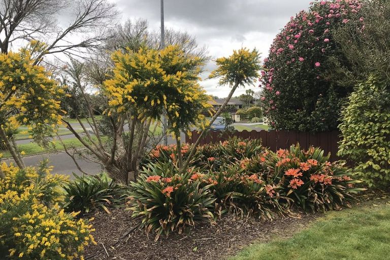 Photo of property in 87 Harrowfield Drive, Harrowfield, Hamilton, 3210