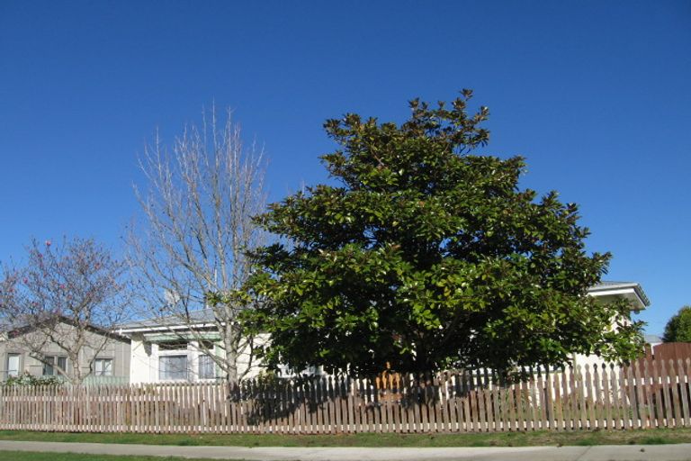 Photo of property in 815 Ferguson Street, Akina, Hastings, 4122