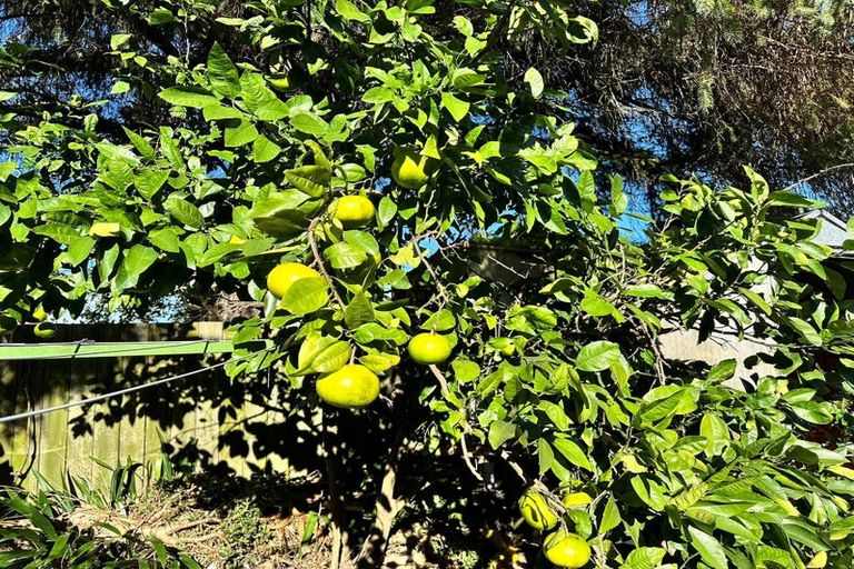 Photo of property in 42 Russell Road, Manurewa, Auckland, 2102