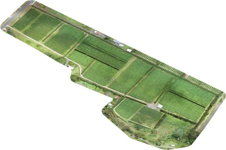 Photo of property in 387 Kerikeri Road, Kerikeri, 0230