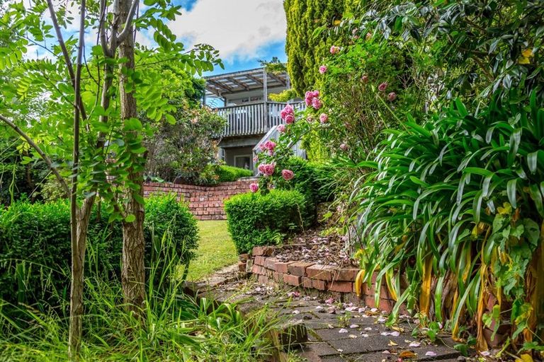 Photo of property in 31 Puriri Crescent, Lansdowne, Masterton, 5810