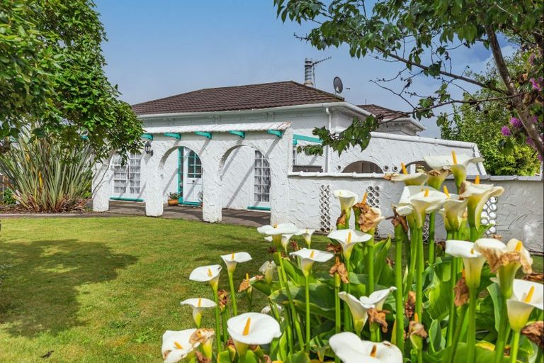 Photo of property in 95 Weraroa Road, Levin, 5510