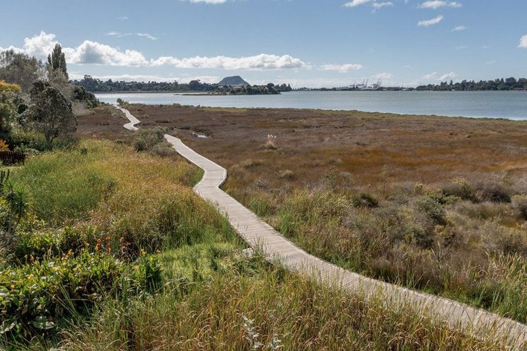 Photo of property in 77 Churchill Road, Judea, Tauranga, 3110