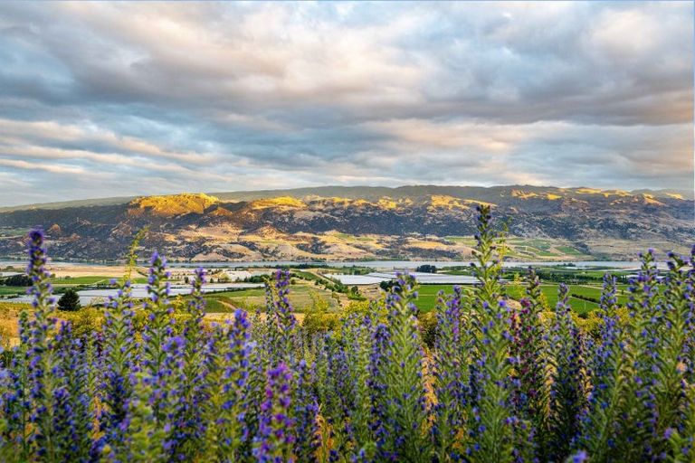 Photo of property in 11 Macmillan Lane, Mount Pisa, Cromwell, 9383