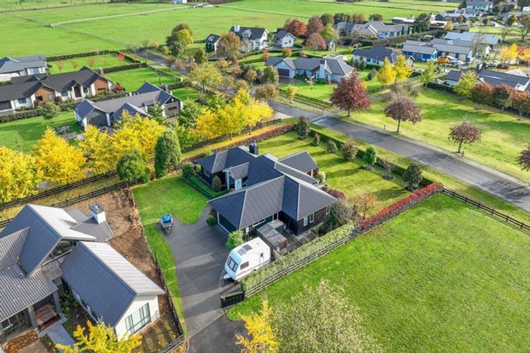 Photo of property in 4 Danehill Close, Matamata, 3400