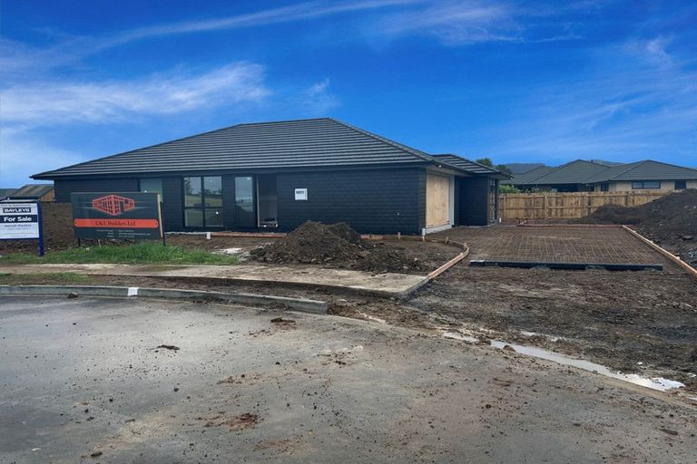 Photo of property in 10 Sanson Place, Levin, 5510