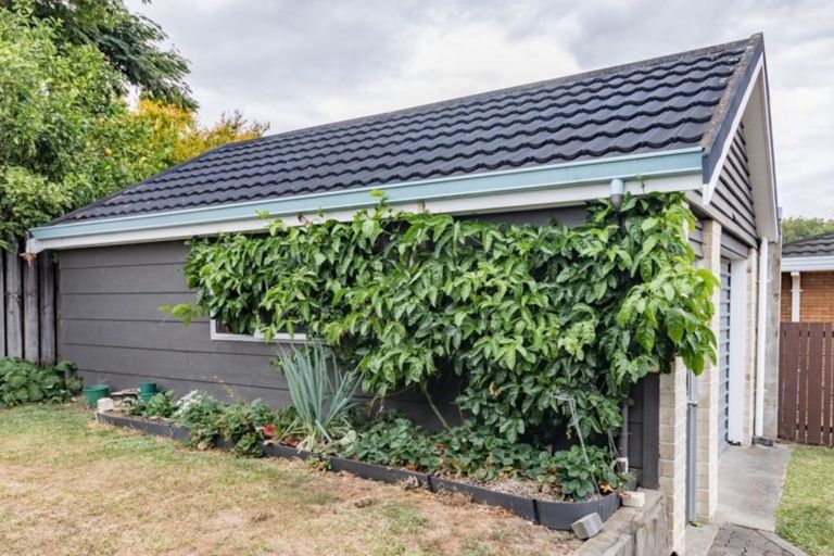 Photo of property in 43 George Street, Morrinsville, 3300