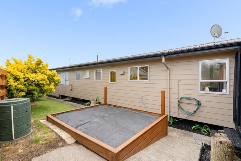 Photo of property in 97 Links Avenue, Mount Maunganui, 3116