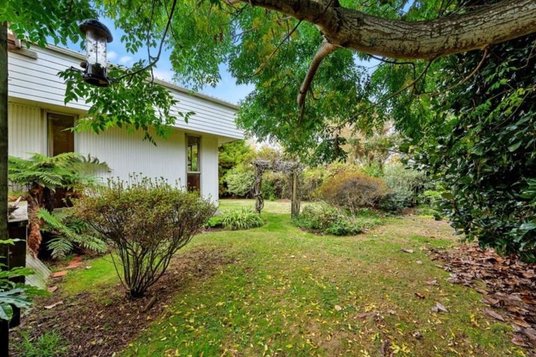 Photo of property in 27 Hibiscus Avenue, Hamilton Lake, Hamilton, 3204