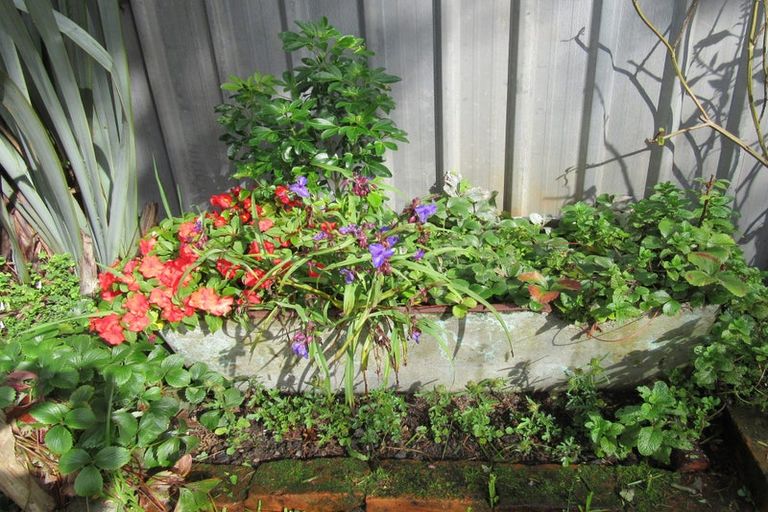 Photo of property in 81 Ward Street, Cobden, Greymouth, 7802