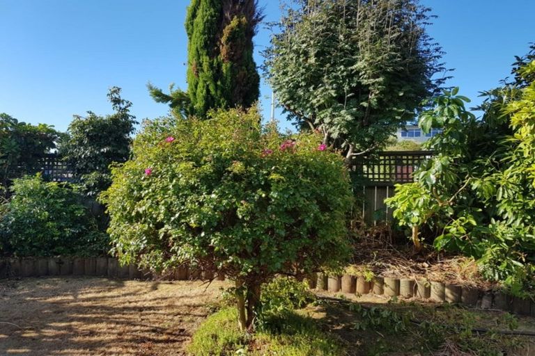 Photo of property in 81 Paora Hapi Street, Taupo, 3330