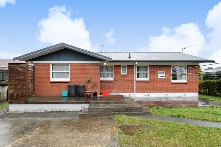 Photo of property in 141 Fitzroy Avenue, Fitzroy, Hamilton, 3206