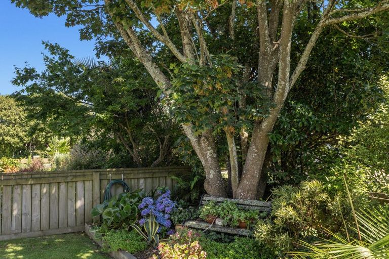 Photo of property in 103 Woodlands Road, Opotiki, 3122