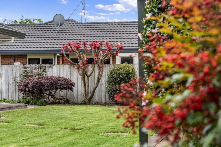 Photo of property in 17 The Haven, Flagstaff, Hamilton, 3210