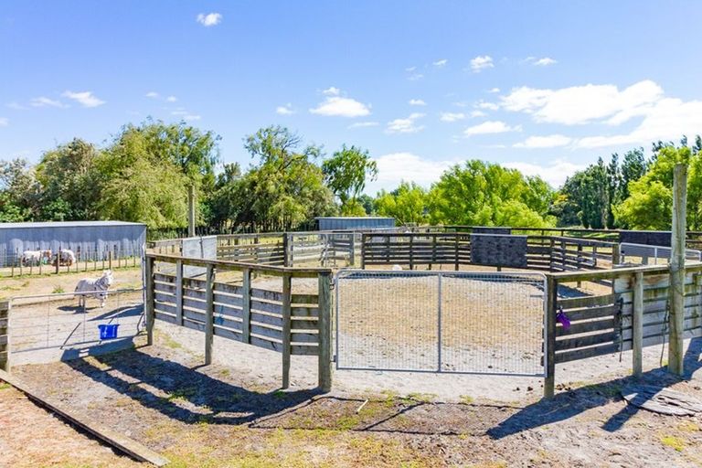 Photo of property in 201 Shirriffs Road, Awapuni, Palmerston North, 4412