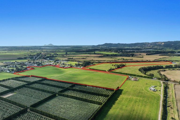 Photo of property in 51 Tahuna Road, Te Teko, 3192