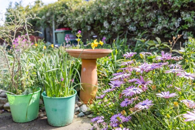 Photo of property in 22 Cranbrook Place, Rototuna North, Hamilton, 3210