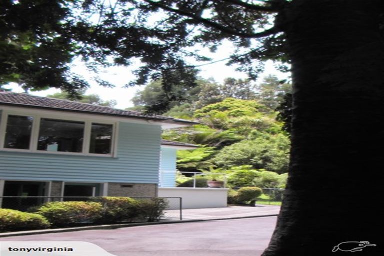 Photo of property in 14 York Road, Titirangi, Auckland, 0604
