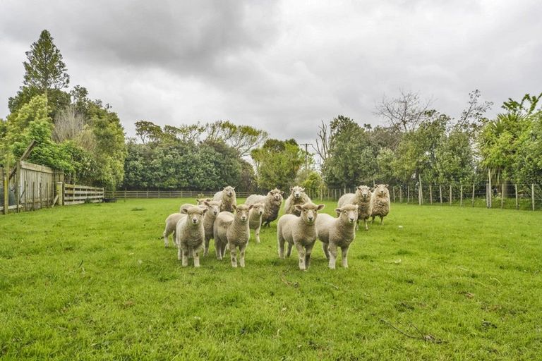 Photo of property in 1347 Camerons Line, Aorangi, Feilding, 4775