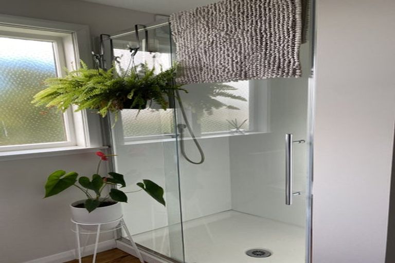 Photo of property in 162 The Ridgeway, Mornington, Wellington, 6021