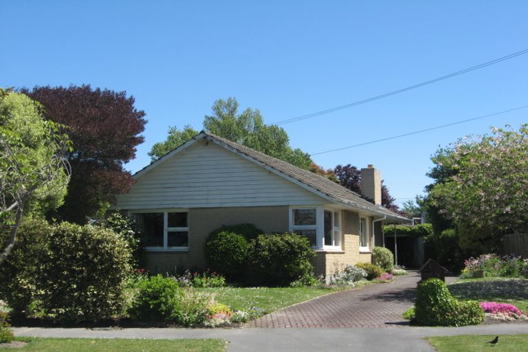 Photo of property in 19 Ebony Street, Bishopdale, Christchurch, 8053