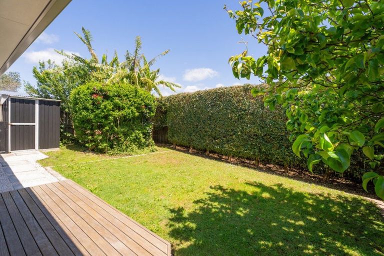 Photo of property in 8b Cook Drive, Whitianga, 3510