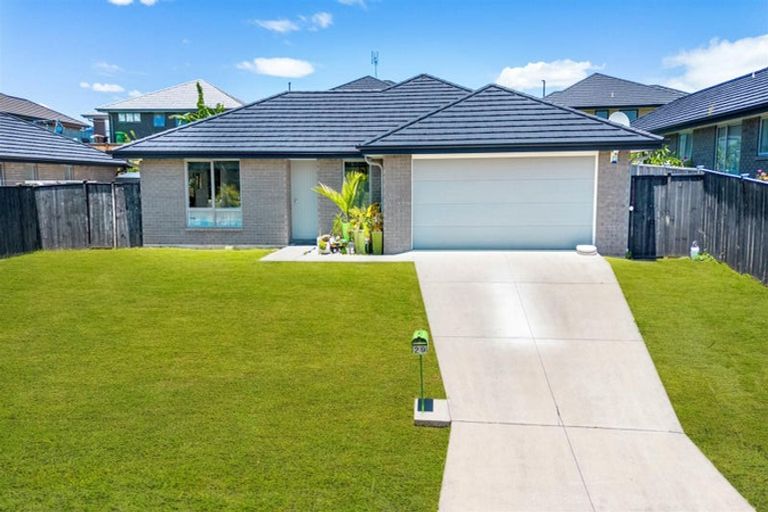 Photo of property in 29 Harry Richards Way, Pokeno, 2402