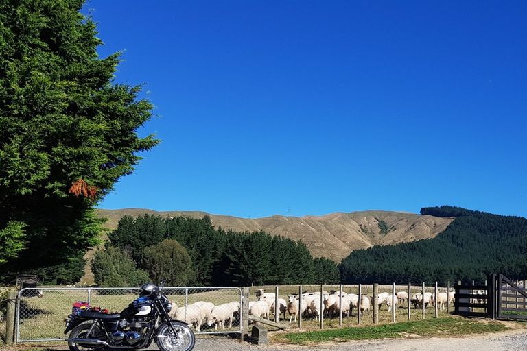 Photo of property in 210 Potts Road, Koputaroa, Levin, 5571