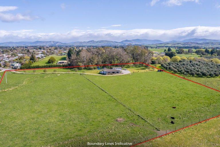 Photo of property in 53 Oak Street, Masterton, 5810