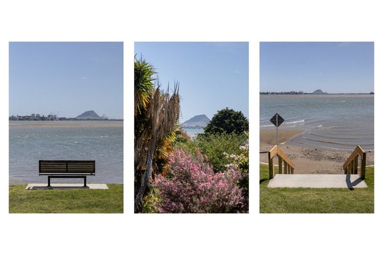 Photo of property in 8a Anchorage Grove, Maungatapu, Tauranga, 3112