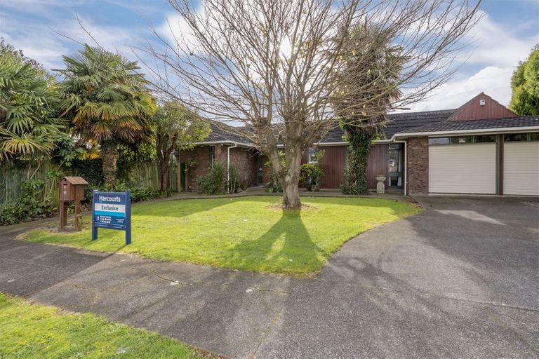 Photo of property in 41 Marlborough Street, Levin, 5510