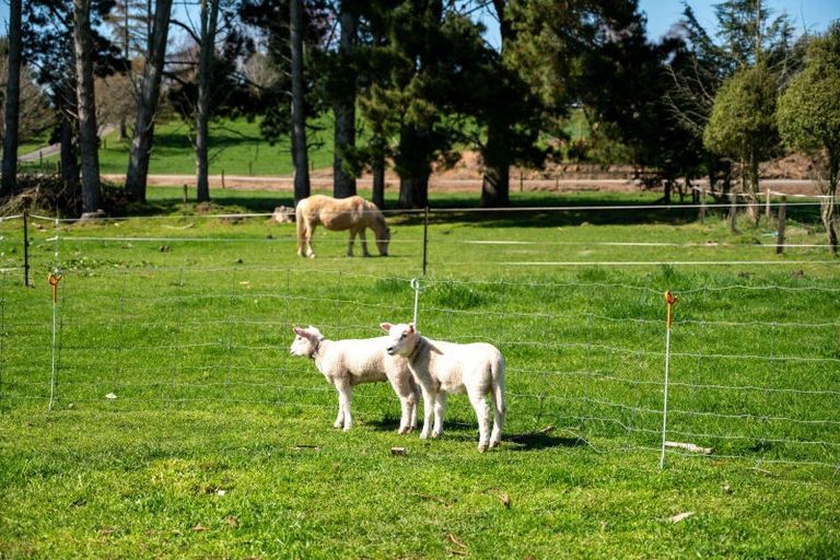 Photo of property in 196 Ash Pit Road, Rerewhakaaitu, Rotorua, 3073