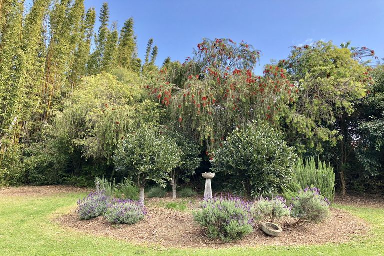 Photo of property in 19a Riverview Road, Kerikeri, 0230