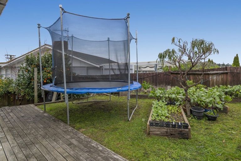 Photo of property in 38 Manson Street, Gate Pa, Tauranga, 3112
