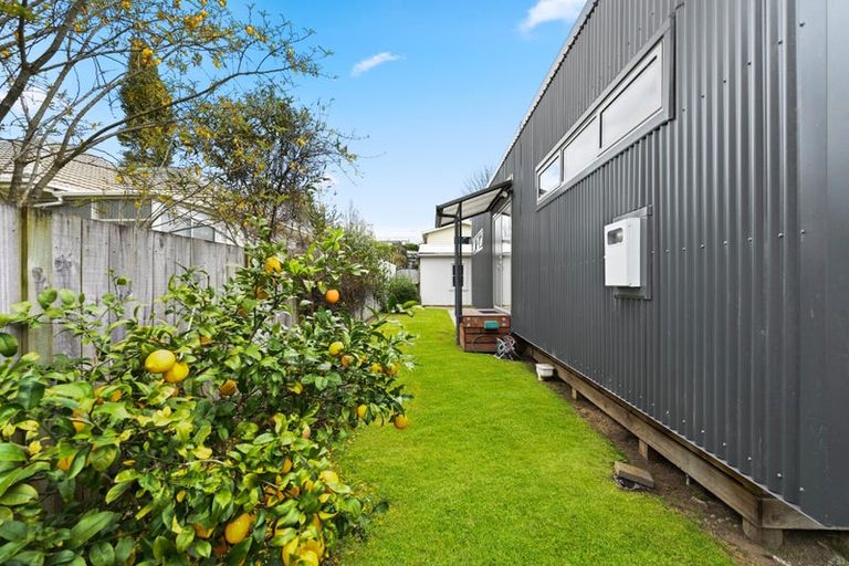 Photo of property in 17 Sillary Street, Hamilton East, Hamilton, 3216