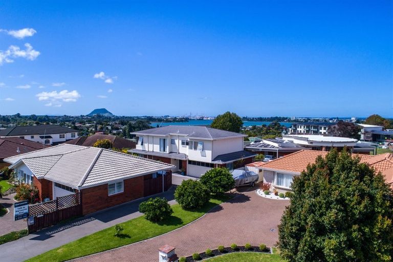 Photo of property in 31a Tekoah Place, Judea, Tauranga, 3110