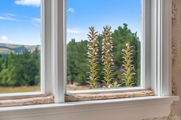 Photo of property in 209 Ettrick Road, Ettrick, Roxburgh, 9572