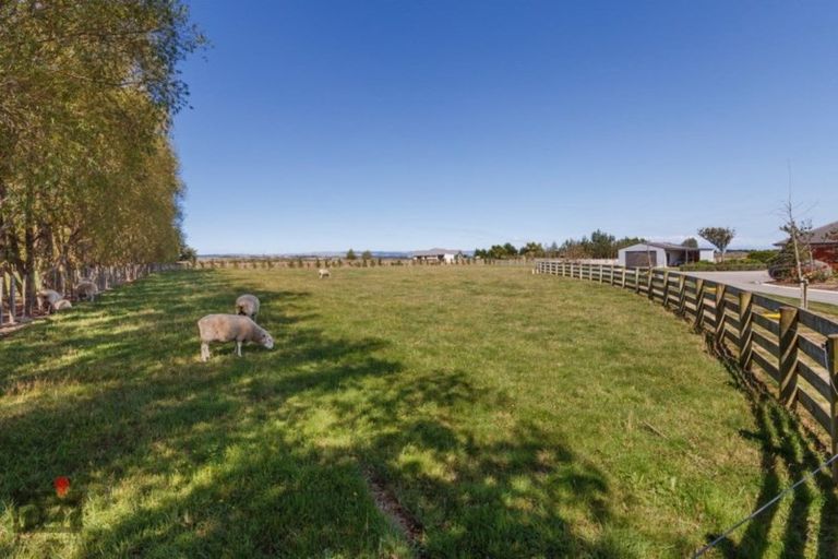 Photo of property in 95 Spur Road, Colyton, Feilding, 4775