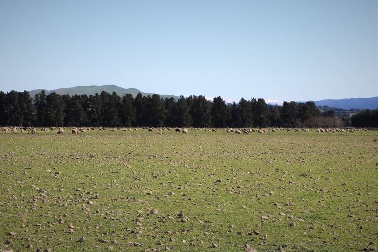 Photo of property in 161 Innes Road, St Albans, Christchurch, 8052