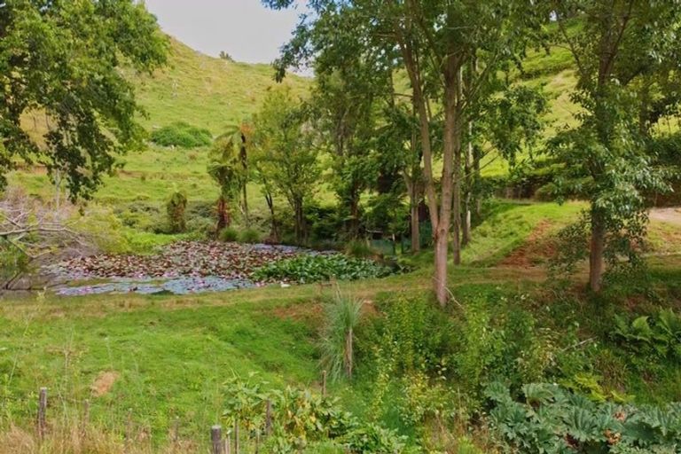 Photo of property in 822 Motukawa Road, Tarata, Inglewood, 4387