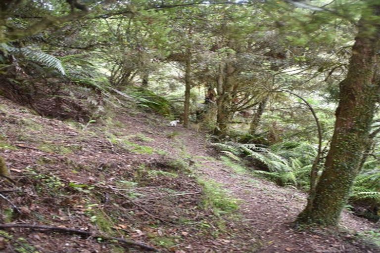 Photo of property in 2005 Ongarue Stream Road, Waimiha, 3998
