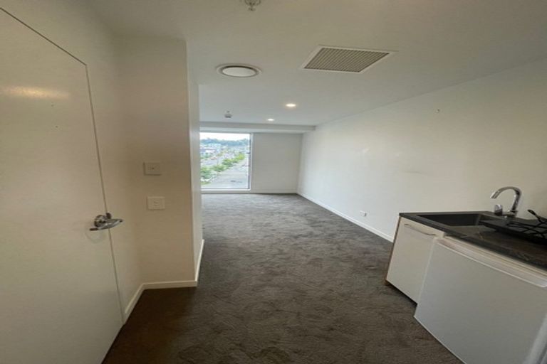 Photo of property in Vsp South, 301/168 Victoria Street, Te Aro, Wellington, 6011