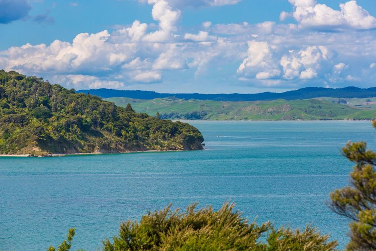 Photo of property in 78m Greenslade Road, Raglan, 3295