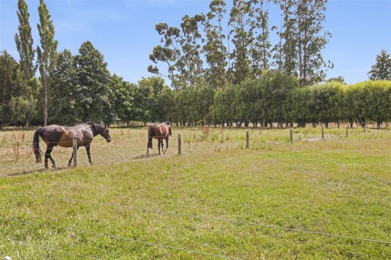 Photo of property in 244 Heywards Road, Clarkville, Kaiapoi, 7692